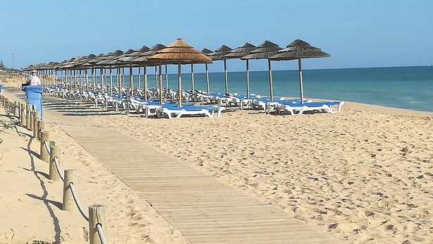 Une plage bordée de rangées de chaises longues et d’ombrelles en chaume.