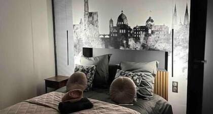 Appartement fabuleux 100 m2 proche centre/Parking sécurisé/entiÚrement climatisé