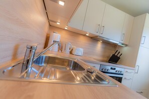 Fridge, oven, stovetop, dishwasher
