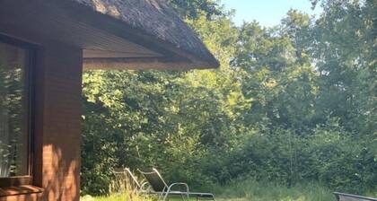 Appartement "Hummergrund Muschel" in St. Peter-Ording für 4 Personen