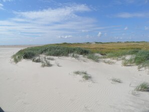 Beach - Vacation apartment "Marschjuwel" in Garding for 4 persons (Garding)