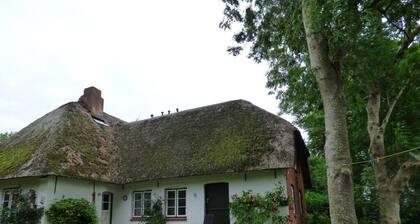 Reetdach-Appartement "Wasserkoog 22" in Tetenbüll für 2 Personen