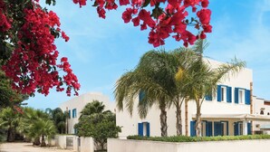 Een gebouw aan de kust met witte muren en blauwe luiken, omringd door palmbomen en bougainvillea.