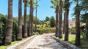 A paved pathway flanked by tall palm trees and lush greenery, leading towards a stone building. - Villa Rossana, with pool near the sea (Plemmirio)