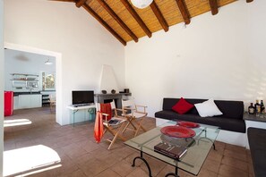 TV, fireplace, DVD player, ping pong
