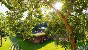 A well-maintained garden with a stone wall, a pool area with lounge chairs, and a clear pathway.