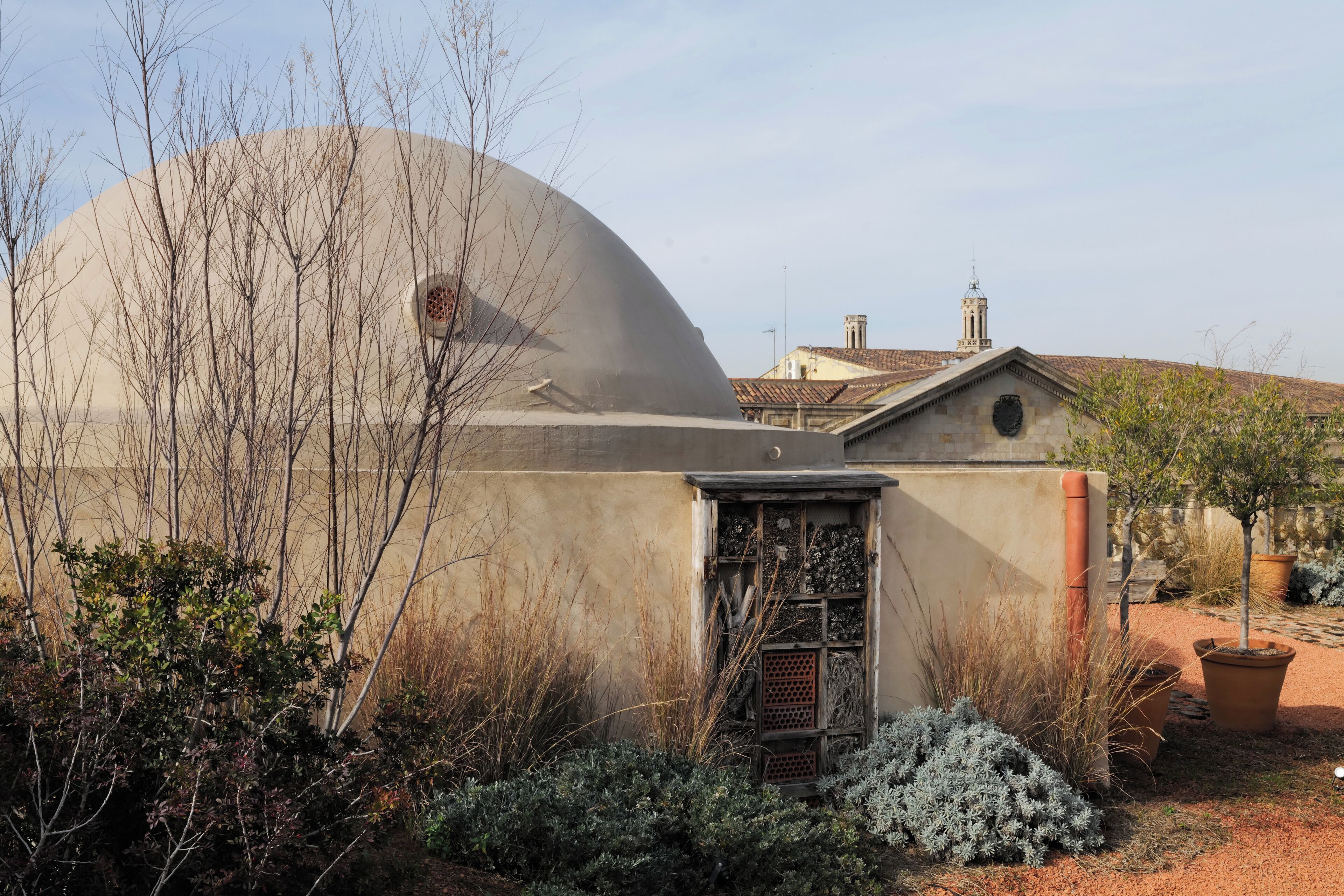 Photo - Hostal Porxos Garden