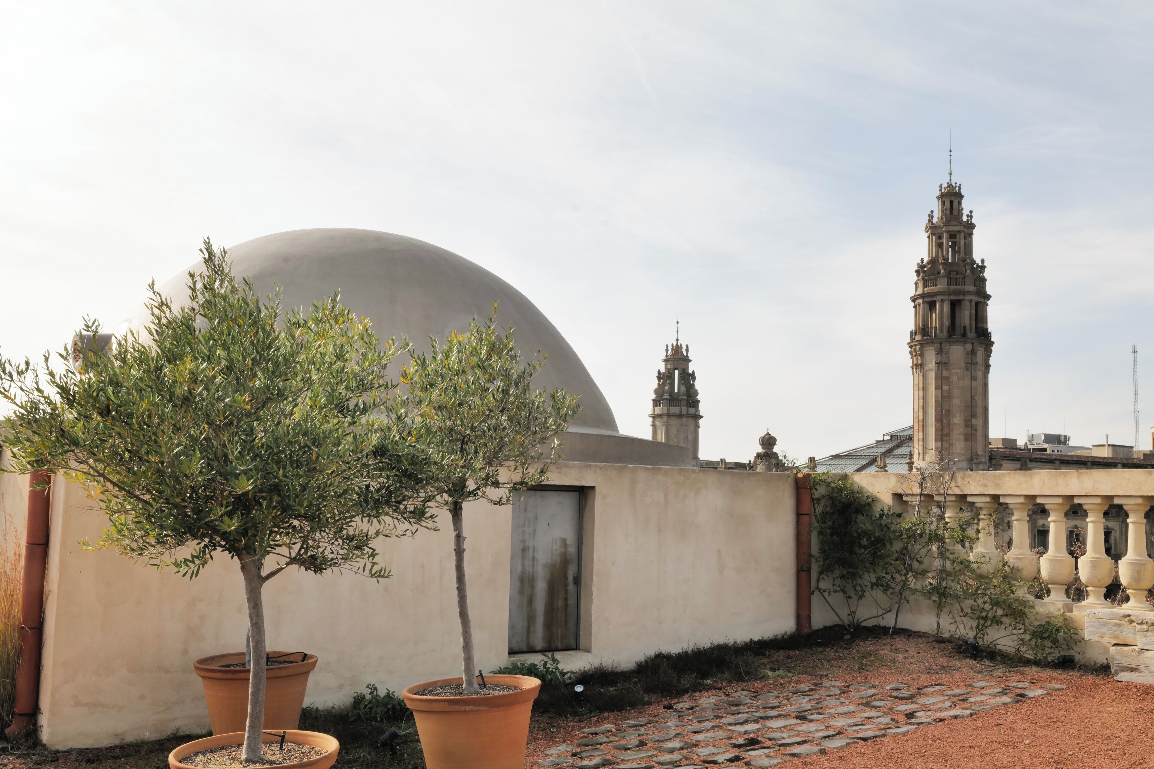 Un patio con una cúpula grande, una torre alta y dos árboles en macetas.