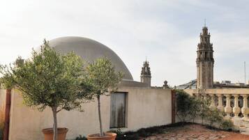 Un patio con una cúpula grande, una torre alta y dos árboles en macetas.