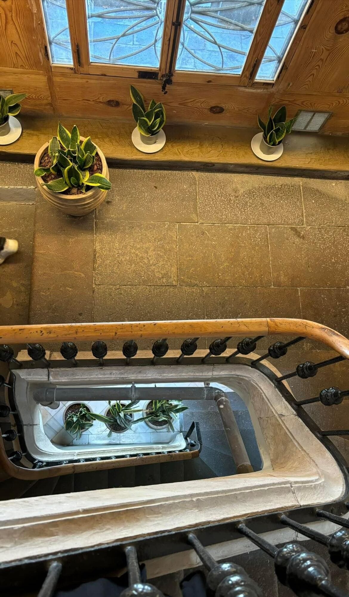 Photo - Hostal Porxos Garden