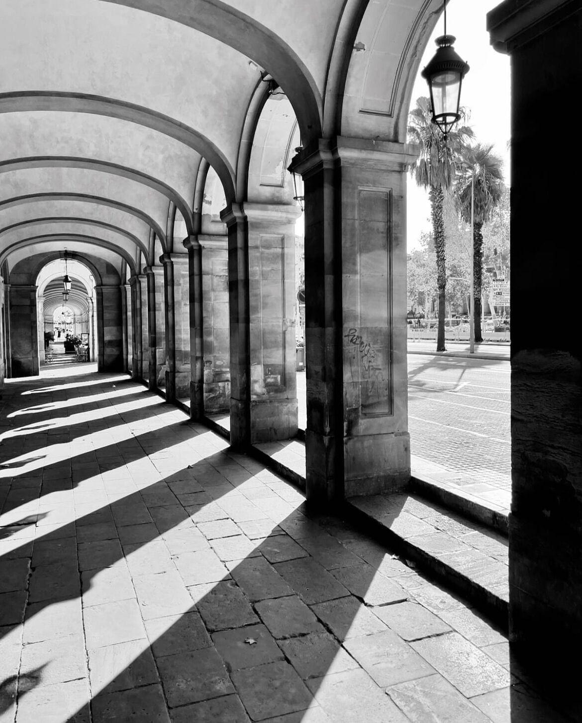 Photo - Hostal Porxos Garden