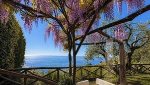 Un jardin avec un banc en pierre, une clôture en bois et une vue sur la mer.