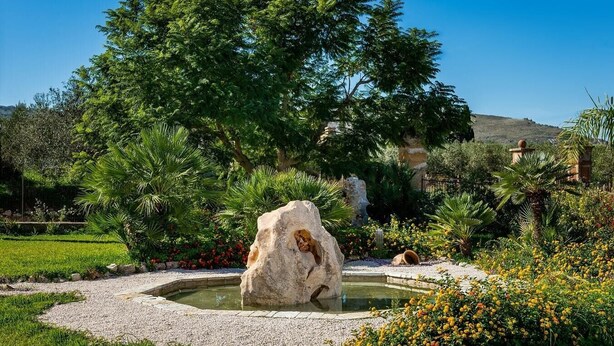 A garden with a pond, a large rock, and various plants.
