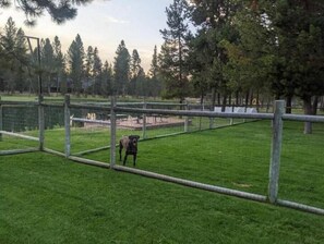 Property grounds - River Front with Fenced Grass Yard -Dog Friendly (Bend)