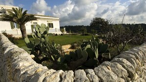 A stone wall with a cactus garden, a white building with green shutters, and a clear sky.