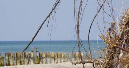 Das Kinozimmer ist eine hübsche kleine und helle Soutterainwohnung für Kinofans und Naturliebhaber ideal geeignet.