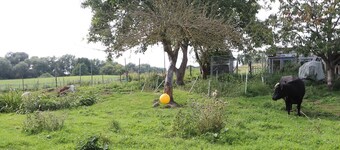 Landurlaub- das Perfekte Feriendomizil Wartet Hier auf Sie!