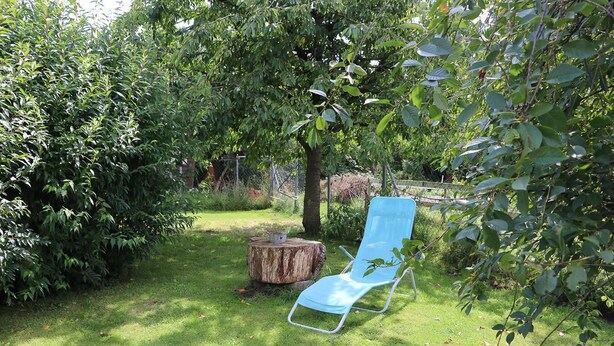 Un jardín con una silla azul, un tocón de árbol y abundante follaje.