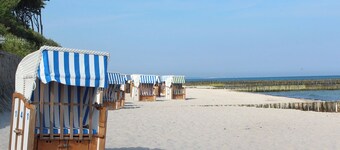 Diese Schöne, Helle und Großzügige Wohnung mit Balkon Wartet auf Sie. Zum Strand Gelangen Sie in Wenigen Minuten Durch den Schönen Gespensterwald