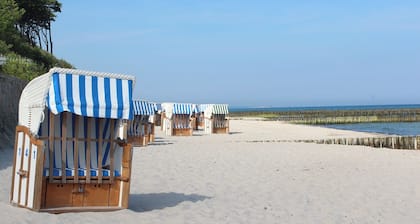 Diese schöne, helle und großzügige Wohnung mit Balkon wartet auf Sie. Zum Strand gelangen Sie in wenigen Minuten durch den schönen Gespensterwald.
