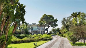 Un chemin mène à un bâtiment moderne doté d’un toit incurvé, entouré d’une végétation luxuriante et de palmiers.