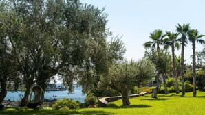 Un parco con erba verde, alberi e uno specchio d'acqua sullo sfondo.