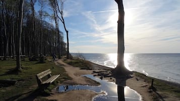 Tæt på stranden
