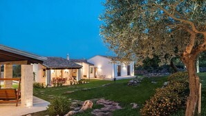 Una casa moderna con patio, sendero de piedra y un árbol.