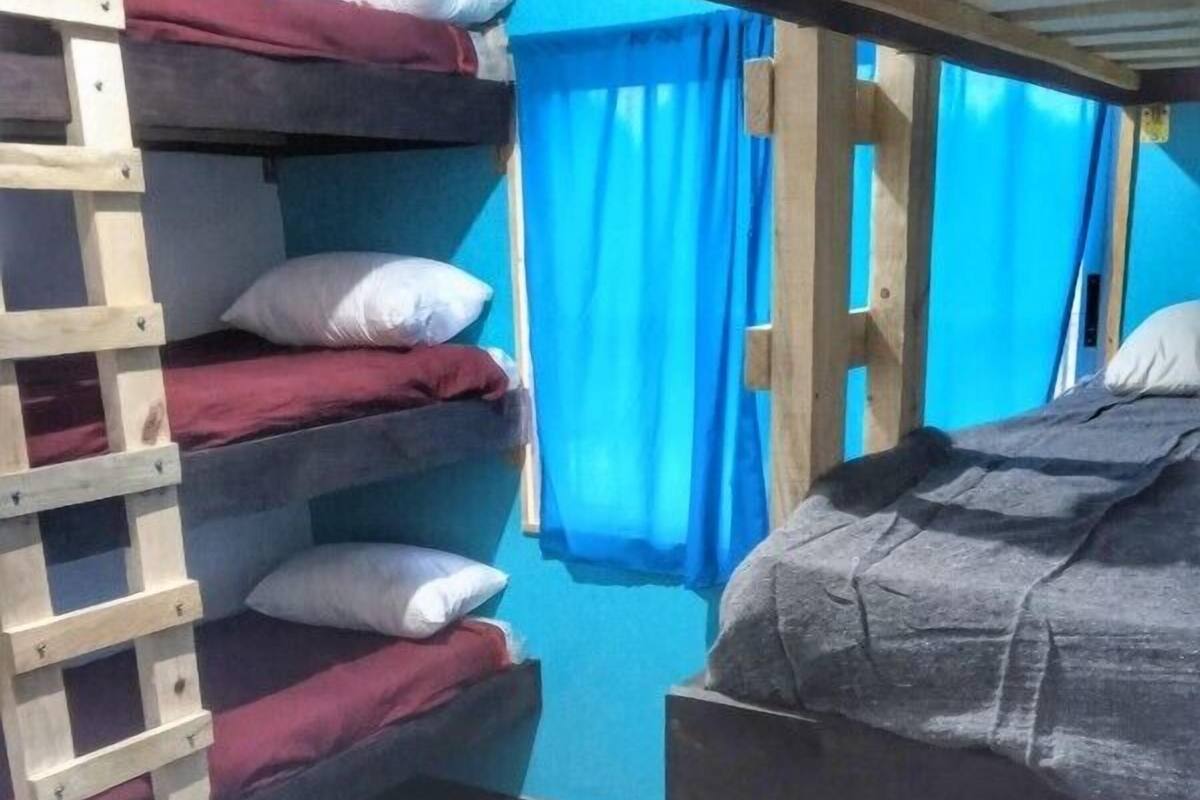 A bunk bed room with a wooden ladder and blue curtains.