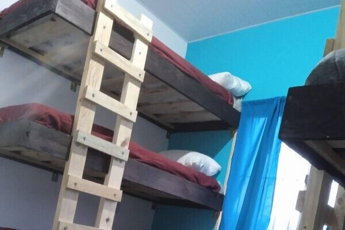 A bunk bed room with a wooden ladder, a window with blue curtains, and a dark wooden floor.