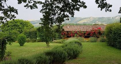 Villa Vigneto - Large private villa with pool