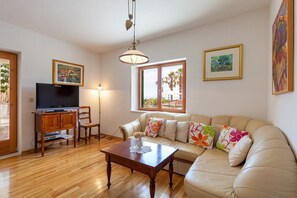 TV, DVD player, table tennis - Villa Vesna - Private Villa with pool, Brac Island (Sumartin)