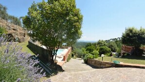 A stone patio with a view of a pool and a tree. - Villa Pontedera - Countryside cottage with private pool (Capannori)