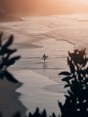 Surfe/bodyboard
