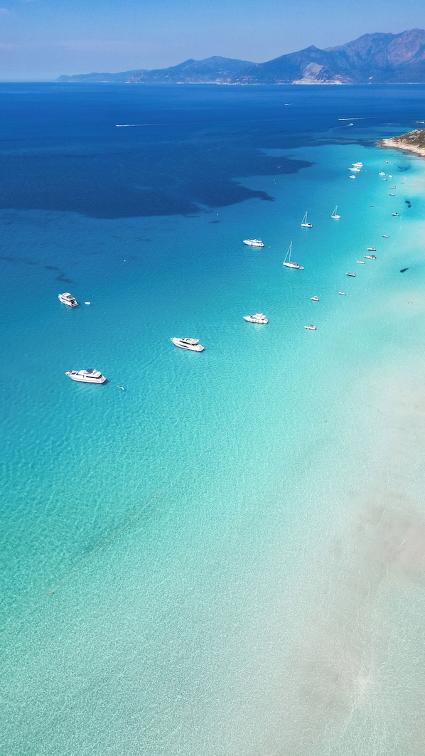 在海滩
