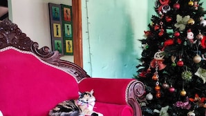 Unclassified image, 3 of 7, button - Hostal La Pola (Santa Fe de Antioquia)