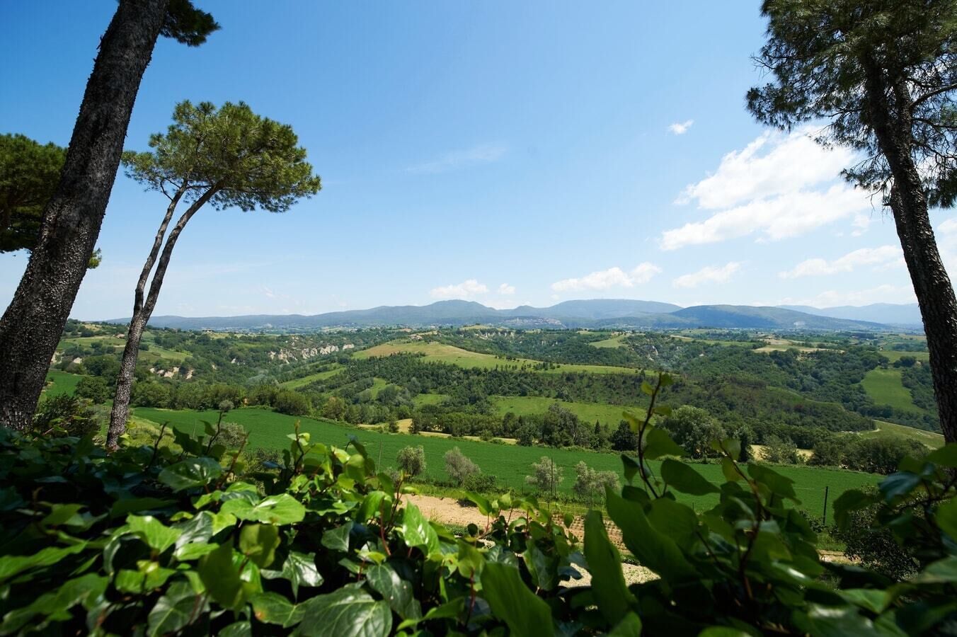 Una vista panorámica de un valle verde exuberante con montañas lejanas bajo un cielo despejado.