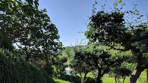 Un chemin de gravier bordé d’une végétation luxuriante et d’arbres, qui mène à un plan d’eau.