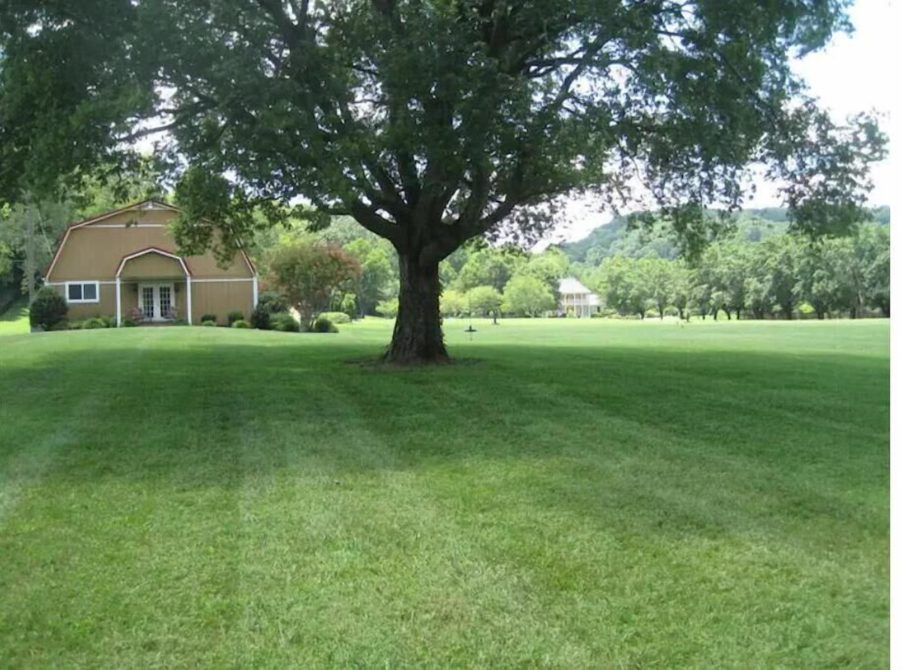 Un gran árbol frente a una casa con un césped cuidado.