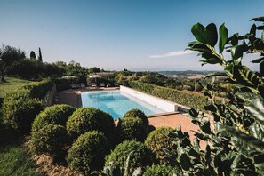Pool - Villa Elara - Tuscan Countryside Villa withPool (Montaione)