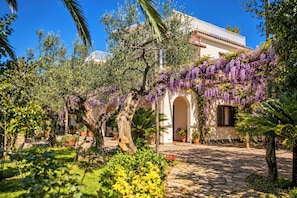 A courtyard with a pathway leading to a building with a balcony, surrounded by trees and purple flowering vines. - Villa Donatella, Ideal For Large Groups (Massa Lubrense)
