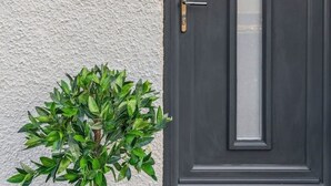 Een donkergrijze deur met een ruit, een klein raam erboven, en een bordje met de tekst '46 Parkside Street'.