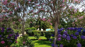 Un jardin agrémenté de diverses plantes à fleurs et doté d’une pelouse bien entretenue.