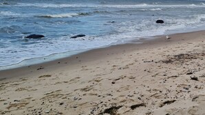 Una playa arenosa con olas y un cielo parcialmente nublado.