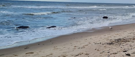 Playa