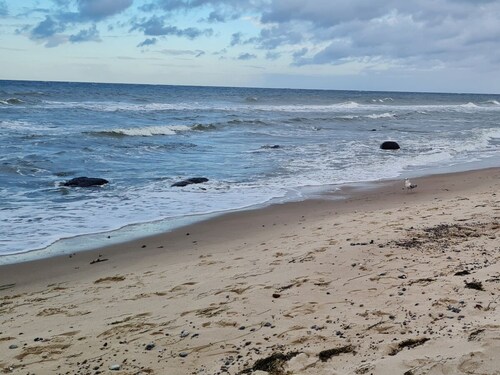 Moderne Ferienwohnung an der Ostsee im charmanten "Feriendorf am Bakenberg"