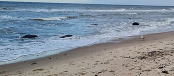 Moderne Ferienwohnung an der Ostsee im Charmanten "feriendorf am Bakenberg"