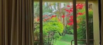  Quiet and peaceful hidden gem surrounded by lush greenery and vibrant flowers.
