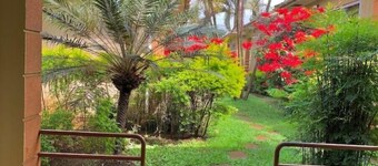 Quiet and peaceful hidden gem surrounded by lush greenery and vibrant flowers.