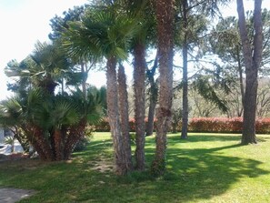 Property grounds - Villa Alisso - Countryside villa with pool (Petriolo)